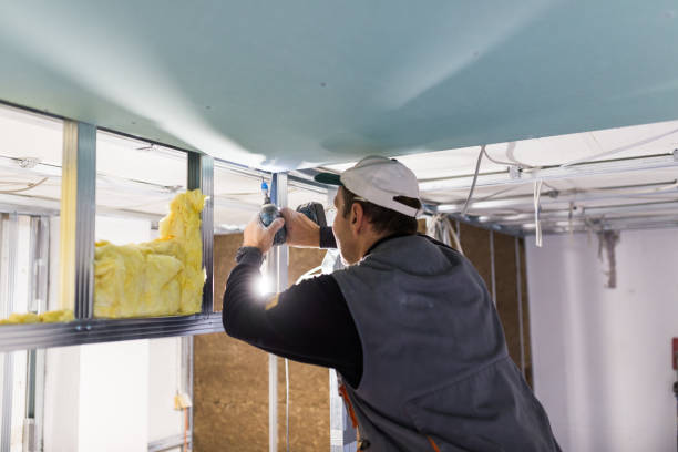 Best Insulation for Specific Applications in Winsted, MN